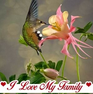 Meet your Posher, Charlene